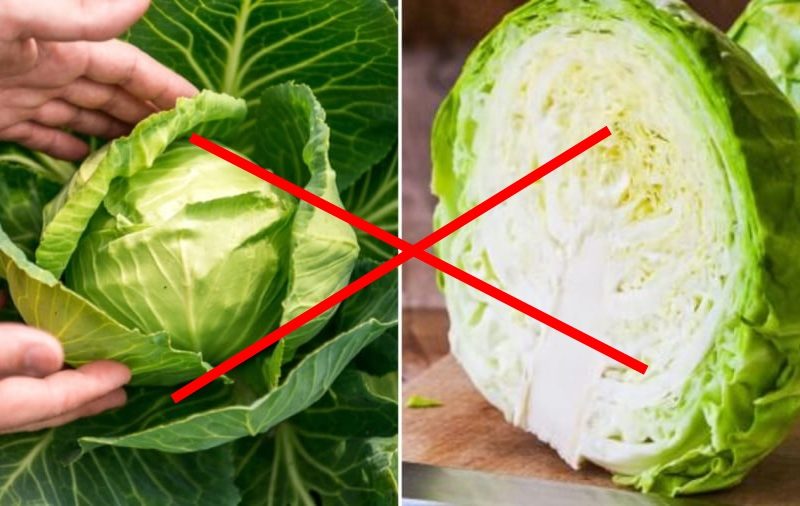 Bắp cải giàu dinh dưỡng nhưng có 4 nhóm người không nên ăn: Dù chỉ là một miếng