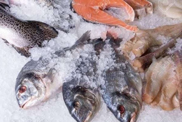 2 Tuyệt chiêu rã đông cá thần tốc chỉ trong vài phút: Cá tươi roi rói như vừa mới bắt